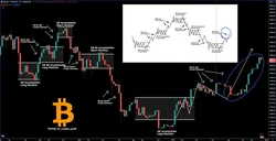 The Bitcoin Bull Run: A Testament to Patience and Prediction