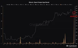 The Movement of 49,866 Old Bitcoins: A Lucrative Opportunity for Traders